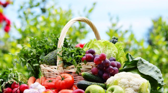 Adventures that You Can Try with Your Family